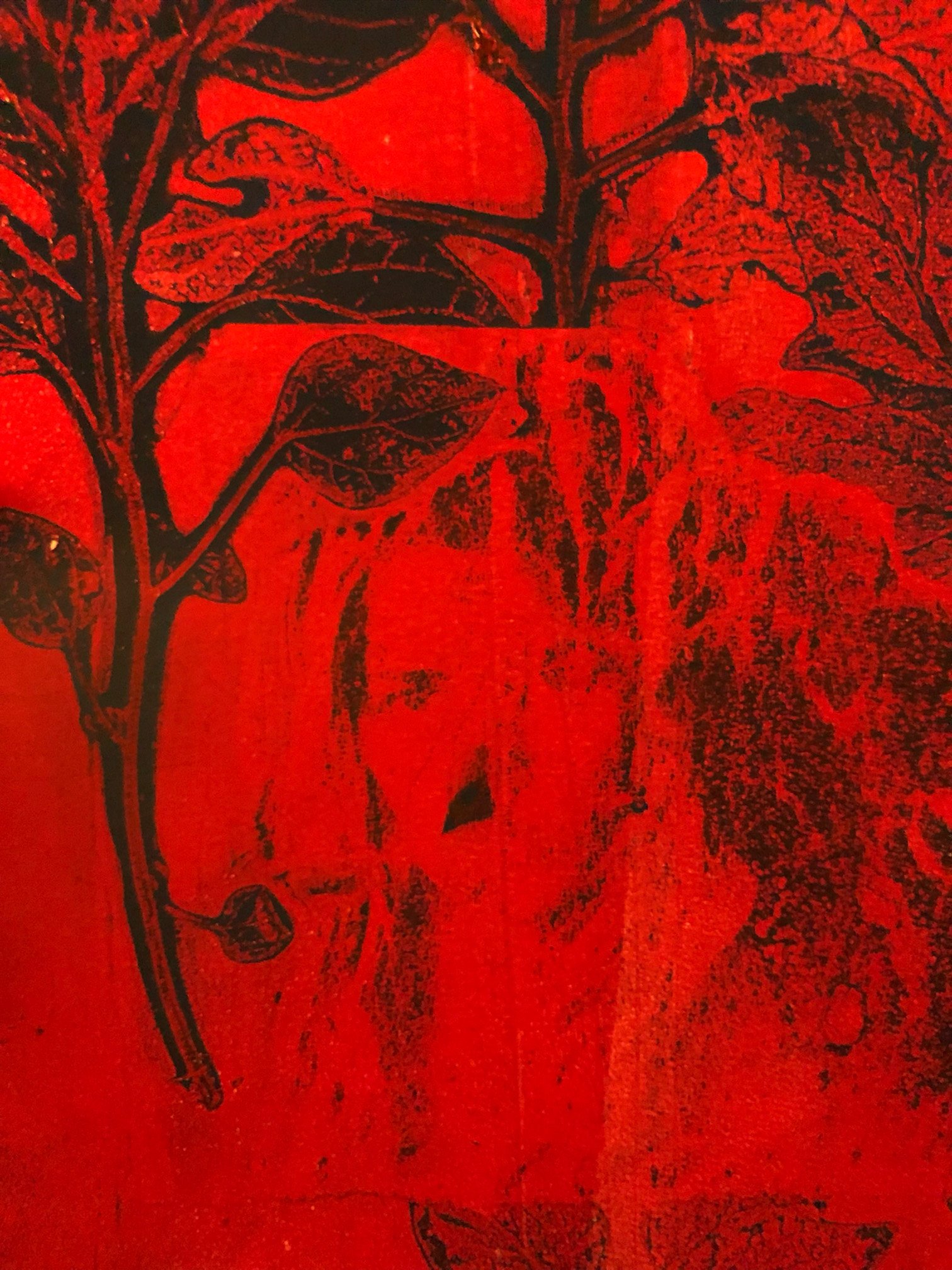 Monotype in red and black showing overlapping leaves and stems, a sharply printed plant above and a softer ghosted layer below